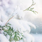 14 февраля в Усть-Каменогорске ожидается снег