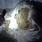 Более 4 килограмм марихуаны прятал на чердаке житель ВКО