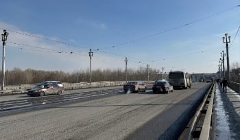 На Ульбинском мосту предложено установить скульптуру собаки