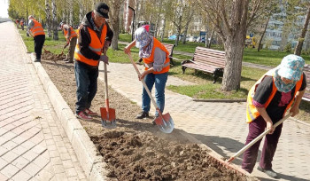 После окончания заморозков в городе будут высаживать цветы