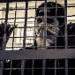 Мошенники обманывают казахстанцев, предлагая трудоустройство за рубежом
