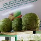 Продукцию Стабфонда будут продавать до 31 июля