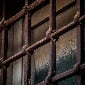 В этом году в Казахстане проведут амнистию
