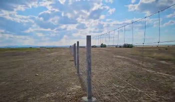 В ВКО на дорогах устанавливают ограждения от животных