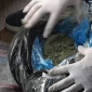 В ВКО задержали наркокурьера с 20 килограммами марихуаны