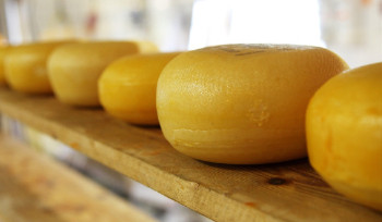 В Усть-Каменогорске пройдет выставка продукции местных товаропроизводителей