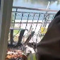 При пожаре в Усть-Каменогорске из задымленной квартиры спасен мужчина