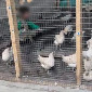 В ВКО полицейские искали пропавшего ребенка