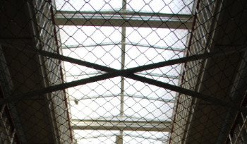 Мошенник из Усть-Каменогорска заработал больше 40 миллионов на доверчивых гражданах