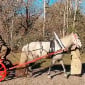 Пожарные проехали по Усть-Каменогорску на конном обозе