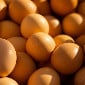 В Казахстане планируют продлить запрет на ввоз куриных яиц