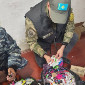 Крупную сеть интернет-мошенников ликвидировали полицейские