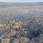 На территории Казахстана взорвался неизвестный беспилотник