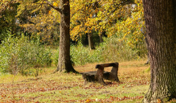 Новая база отдыха появится в районе Улкен Нарын