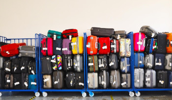 В 2025 году на историческую родину вернулись и получили статус кандаса 11 012 этнических казахов