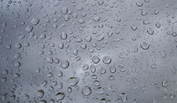 В Казахстан приходят дожди с ветром