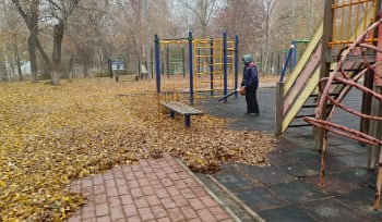 В Усть-Каменогорске убирают опавшие листья