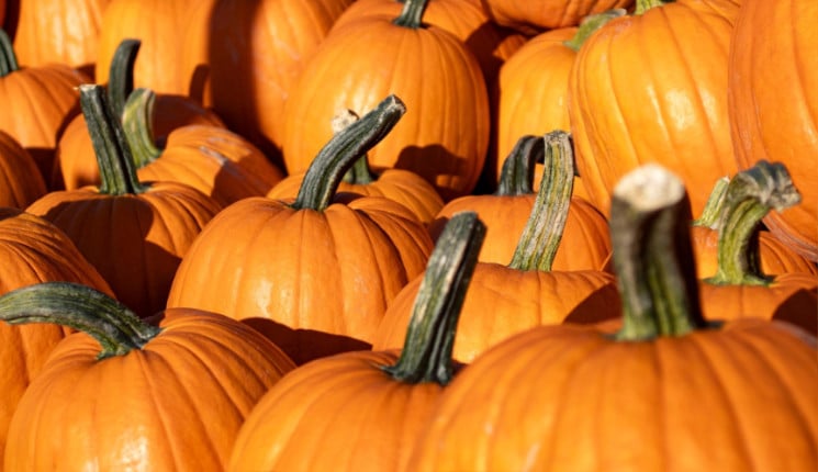 Ярмарки выходного дня будут проходить и в отдаленных районах Усть-Каменогорска