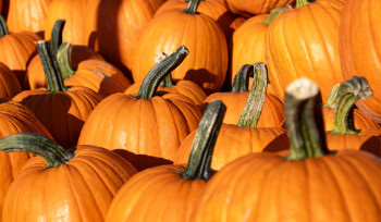 Ярмарки выходного дня будут проходить и в отдаленных районах Усть-Каменогорска