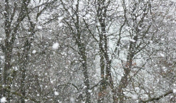 Сразу за потеплением в Казахстан придет снег