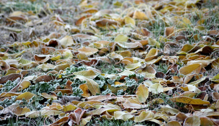 До -13 градусов ожидается в ВКО