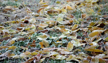 До -13 градусов ожидается в ВКО