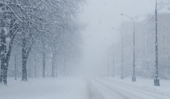 Метель и снег на понедельник: ВКО продолжает штормить