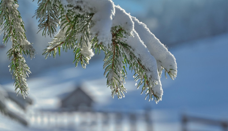 Декабрь в ВКО будет сложным из-за метелей и снегопадов