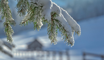 Декабрь в ВКО будет сложным из-за метелей и снегопадов