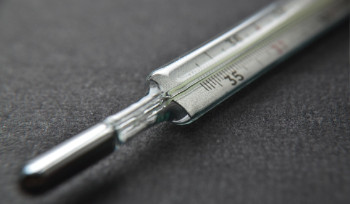 Треть школ Усть-Каменогорска отменили очные уроки из-за ОРВИ