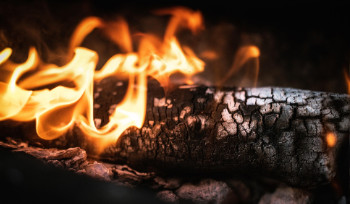 В Казахстане в пожаре погибли 12 человек, среди них девять детей