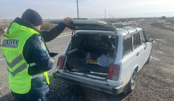 За два дня в ВКО 360 раз нарушили ПДД