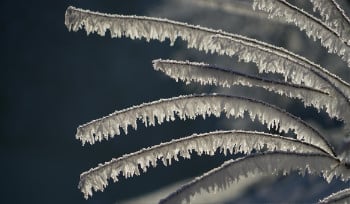 В Усть-Каменогорске 24 ноября ожидается снег с дождем