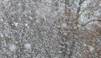 В ВКО на республиканских трассах начали вводить ограничения из-за метели