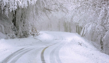24 ДТП случились в Усть-Каменогорске за один день