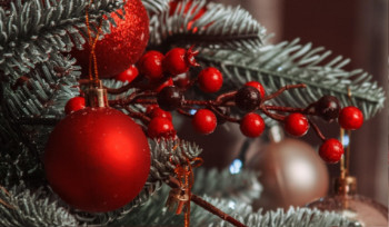 МВД и МЧС запускают масштабные предновогодние инспекции