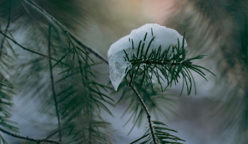 Антициклон принесет в ВКО тепло и снег