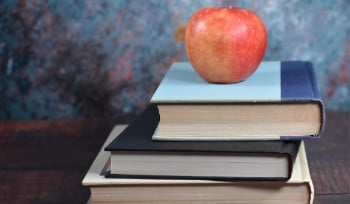 Бывшим сотрудникам полиции и судебной системы разрешат работать учителями