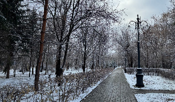 28 ноября в ВКО ожидается снег и ветер