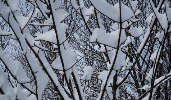 В ВКО в ближайшие дни ожидается снег и гололед