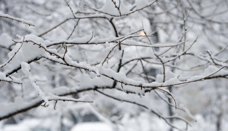 Сильный снег ожидается в Усть-Каменогорске