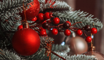 Пять новогодних ёлок поставят в Усть-Каменогорске в этом году