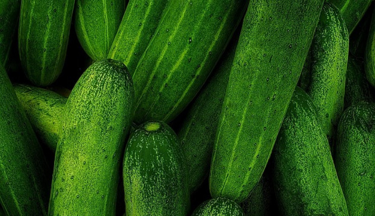 Помидоры и огурцы подешевеют к праздникам в Казахстане