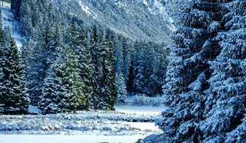 После потепления в ВКО начнутся морозы