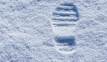 В ВКО 17 декабря ожидается сильный снег и ветер