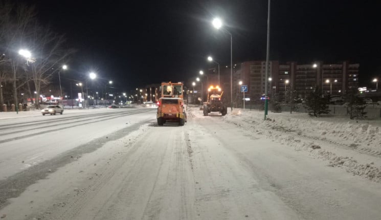 Экологи ВКО против снега с солью на газонах