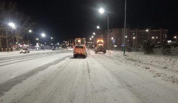 Экологи ВКО против снега с солью на газонах