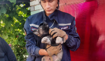 О самых необычных историях спасения рассказали сотрудники ДЧС ВКО