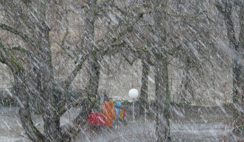 В Усть-Каменогорске 23 декабря ожидается усиление ветра и метель