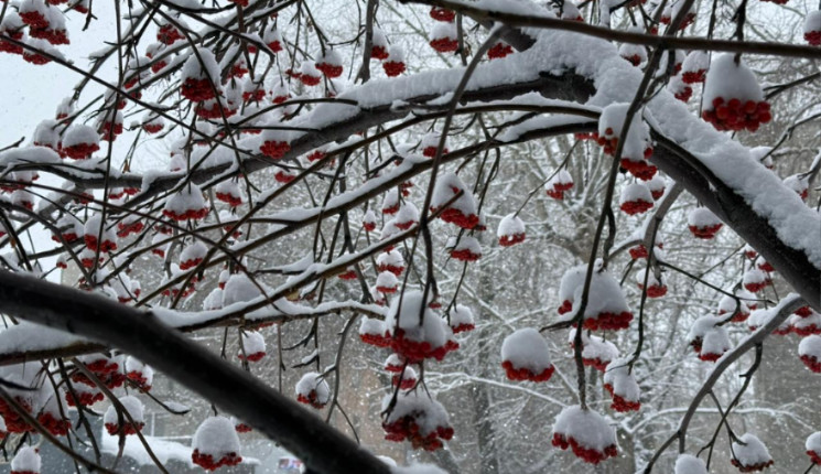 Январь принесёт в ВКО морозы до -41°С